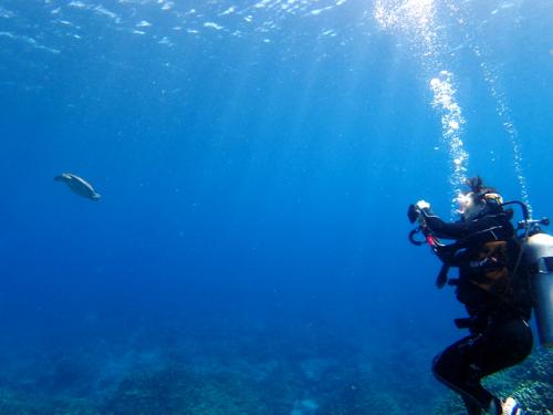 サイパン ダイビングライセンス