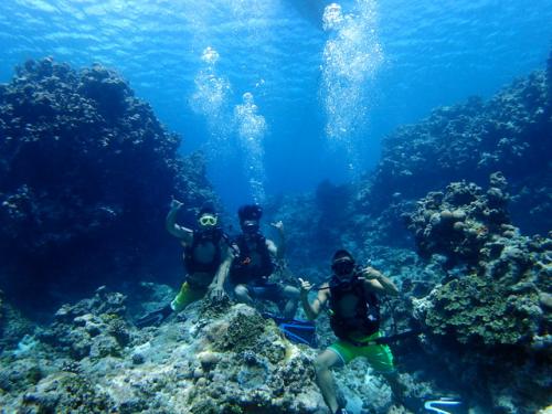 サイパン ダイビングライセンス