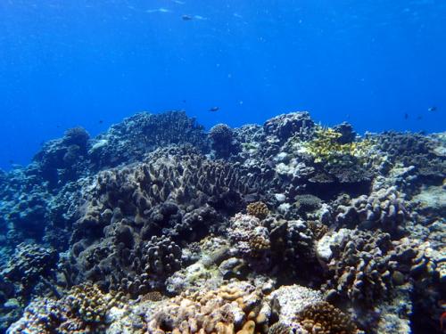 サイパン 島内観光