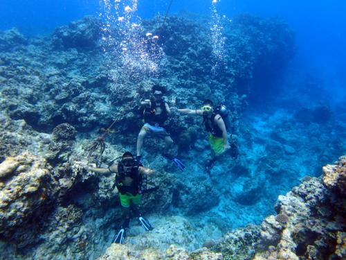 サイパン ダイビング