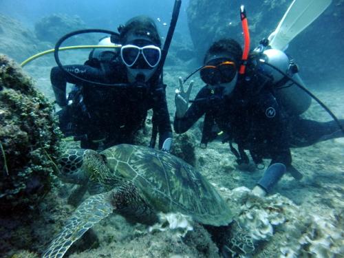 サイパン 体験ダイビング