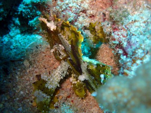 サイパン 島内観光