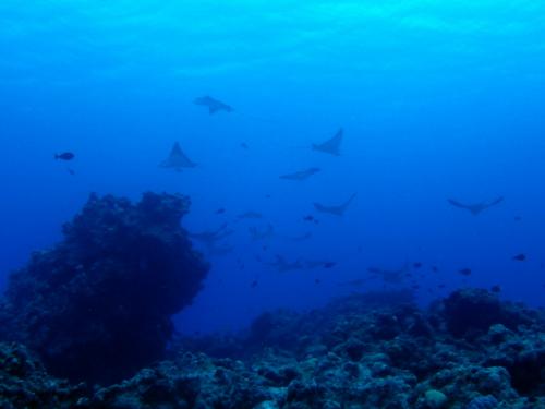 サイパン 島内観光