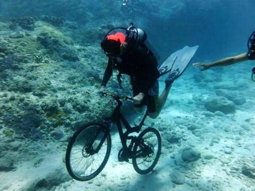 サイパン ダイビングライセンス