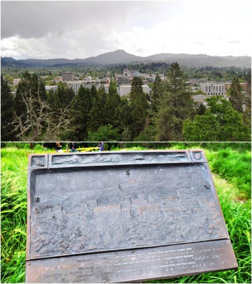 スキナービュート加工