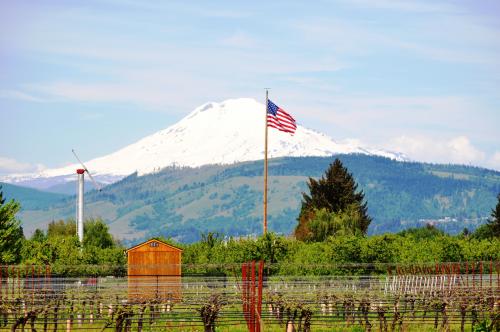 ジェファソン山