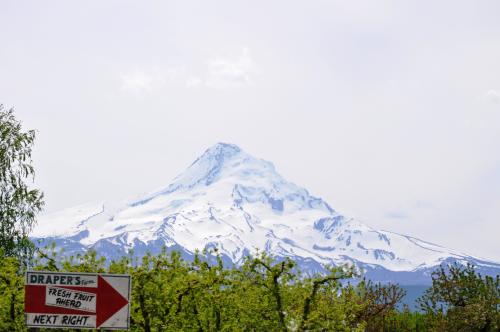 果樹園とマウントフッド