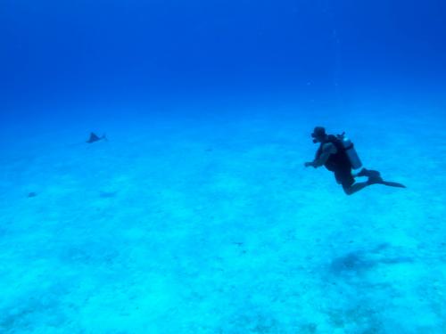 サイパン グロットシュノーケル