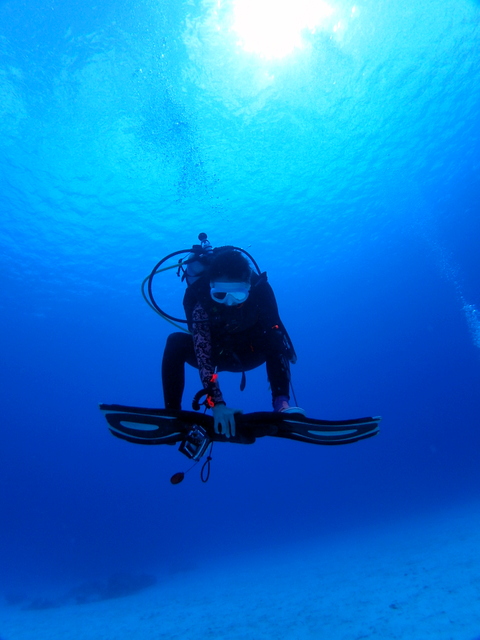 サイパン ダイビングライセンス