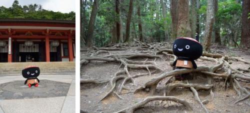 木の根道そばっち