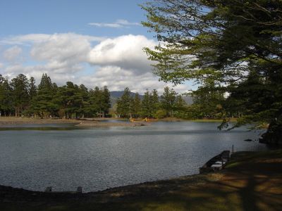 毛越寺 大泉が池1