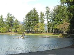 毛越寺 大泉が池２