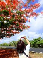 サイパン ダイビング