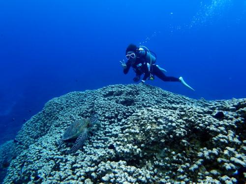 サイパン ダイビングライセンス