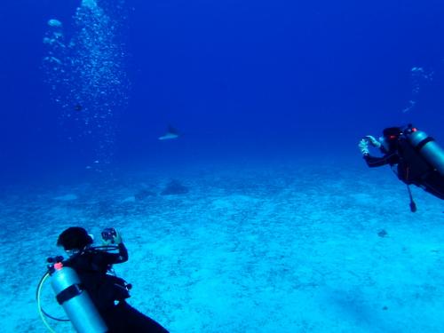 サイパン ダイビングライセンス