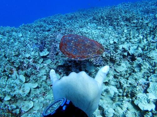 サイパン 島内観光