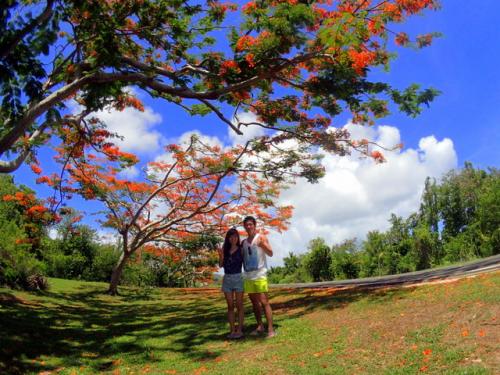 サイパン ダイビング