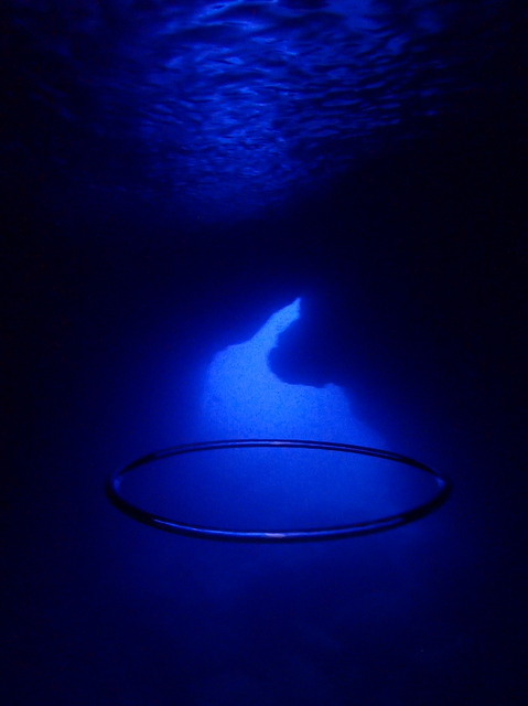 サイパン 体験ダイビング