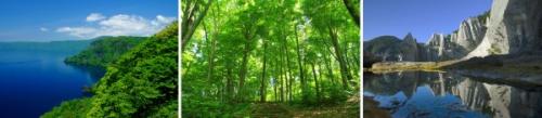 十和田湖・白神山地・仏ヶ浦