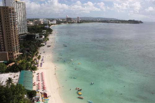 リーフ部屋ながめ