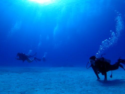 サイパン 体験ダイビング