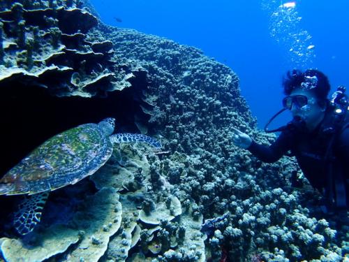 サイパン 島内観光