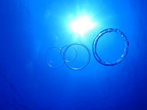 サイパン 体験ダイビング