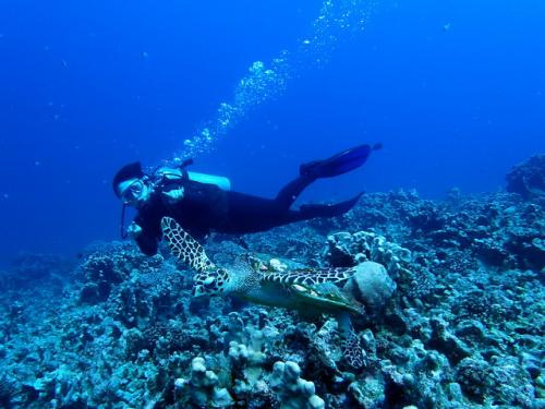 サイパン ダイビングライセンス