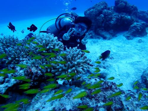 サイパン ダイビング