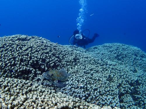 サイパン 島内観光