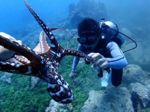 サイパン 島内観光