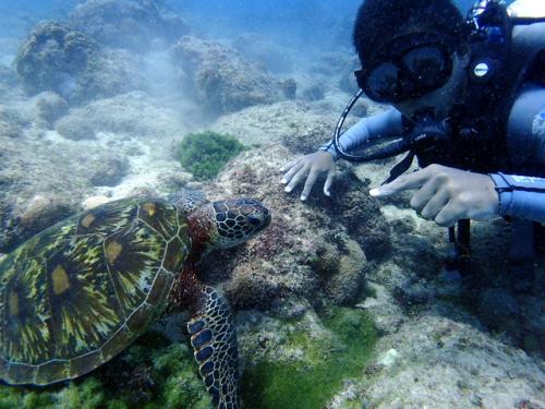 サイパン 体験ダイビング