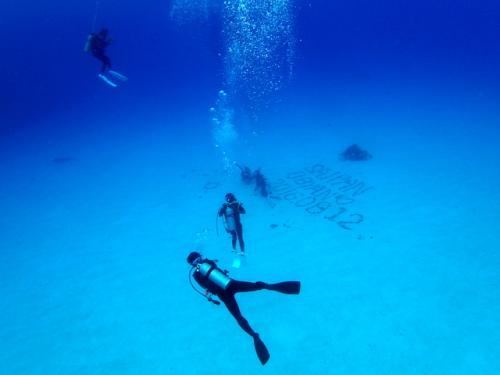 サイパン 体験ダイビング