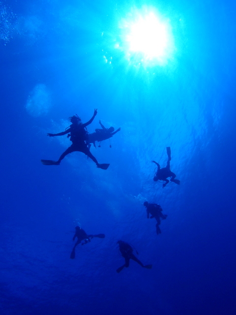 サイパン ダイビングライセンス