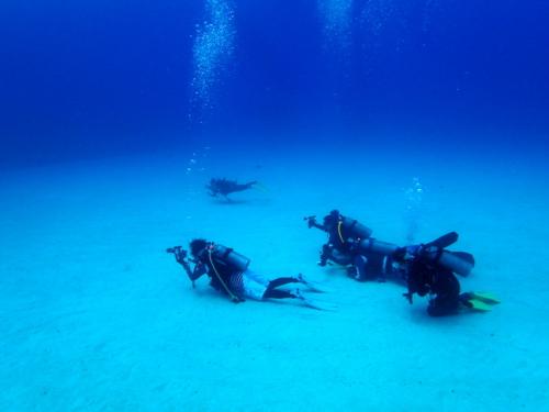 サイパン ダイビング