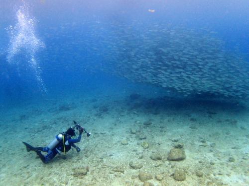 サイパン 島内観光