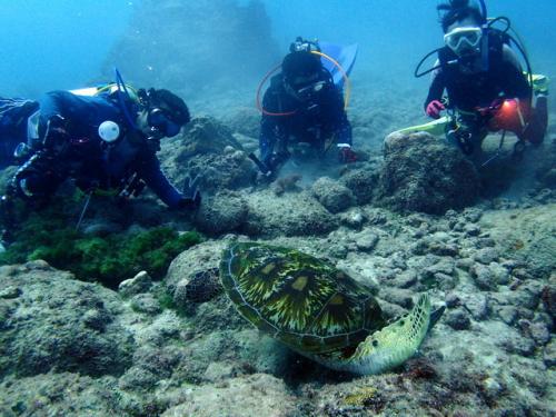 サイパン グロットシュノーケル