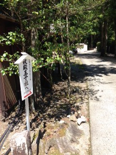 熊野古道14_1