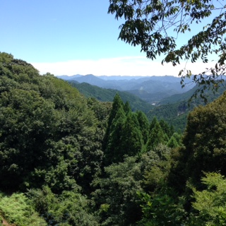 熊野古道５２