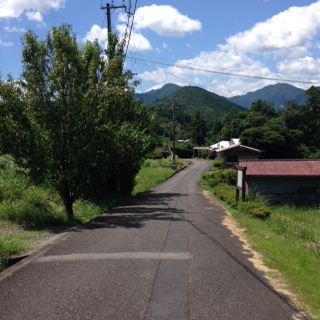 熊野古道55_1