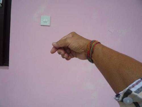 「ジャナイ・プルニマ」5