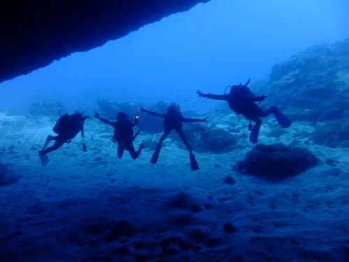 サイパン ダイビングライセンス