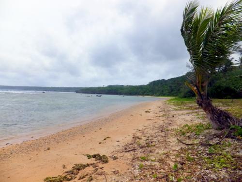 サイパン グロットシュノーケル