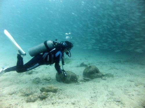 サイパン ダイビングライセンス