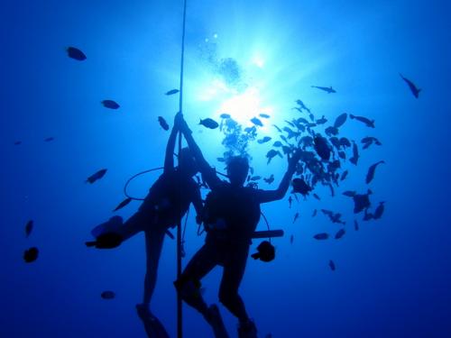 サイパン ダイビングライセンス