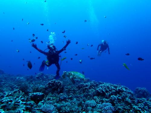 サイパン ダイビングライセンス
