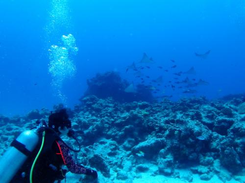サイパン 島内観光