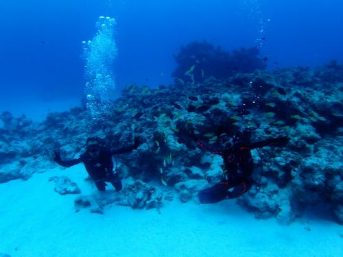 サイパン グロットシュノーケル