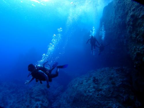 サイパン ダイビングライセンス