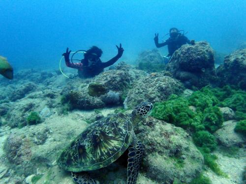 サイパン 島内観光